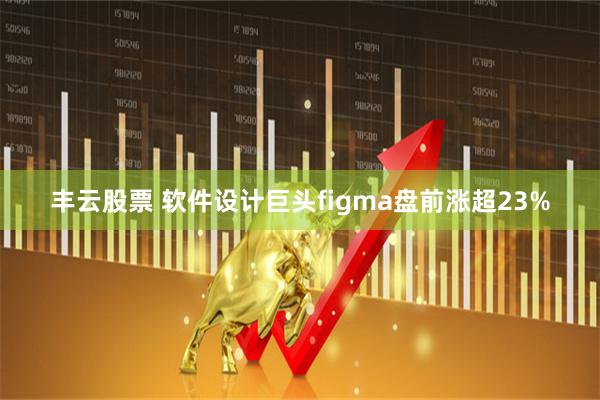 丰云股票 软件设计巨头figma盘前涨超23%
