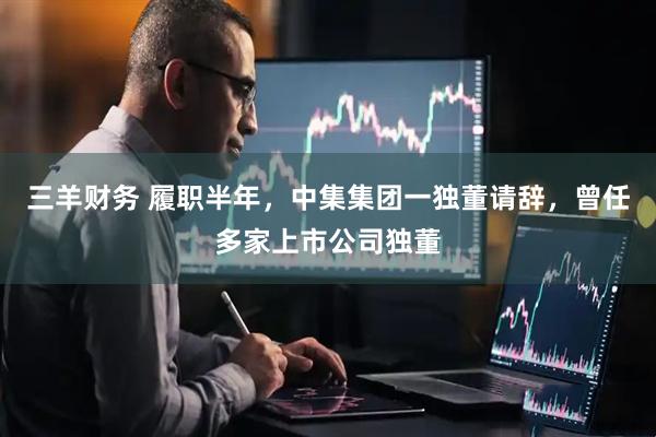 三羊财务 履职半年，中集集团一独董请辞，曾任多家上市公司独董